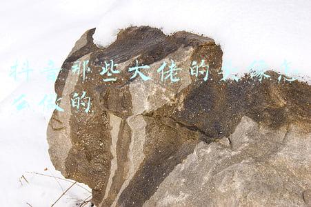 抖音我是大佬的头像(换一换你的头像吧 老板气质手绘漫画头像 职场大佬必备)