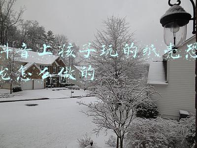 抖音上孩子玩的纸壳恐龙怎么做的