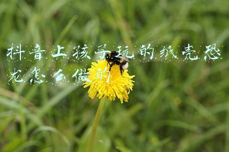 上门收纸壳(垃圾回收网约工：上门收废品一天接20多单)