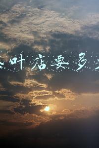 开一家茶叶加盟店需要多少钱，开茶楼加盟需要多少钱