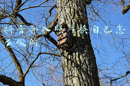把手机照片导入电脑(手机上的视频照片，怎样快速存到U盘或电脑里？原来方法这么简单)