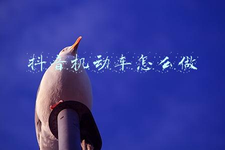 抖音机动车怎么做
