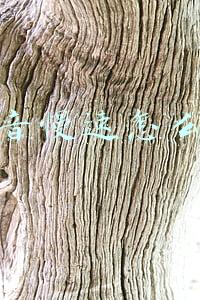 慢速英语听力(慢速英语儿歌，幼儿园，幼小衔接，小学孩子练习听力《Hello》)