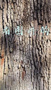 hd图片查看器(电脑最强看图软件—Honeyview)