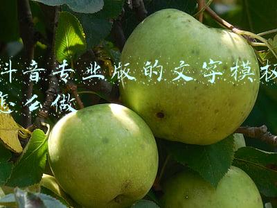 抖音专业版的文字模板怎么做