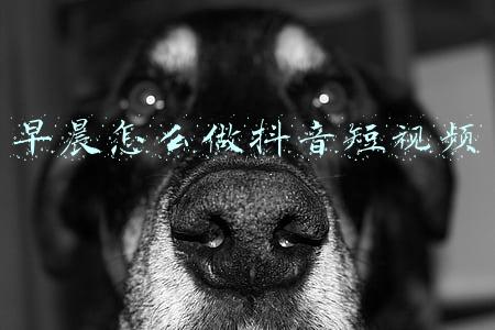 怎样做自己的抖音短视频(从0开始做抖音短视频：玩抖音需要哪些工具？知道这两个就够了！)