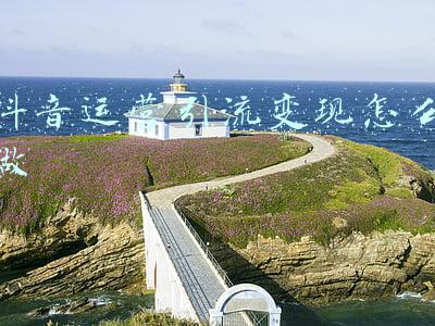 抖音运营引流变现怎么做