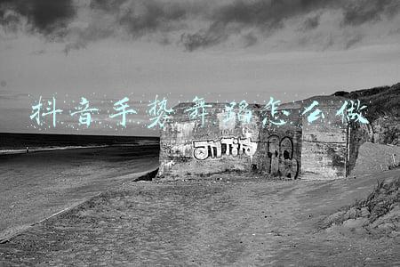 抖音手势舞蹈怎么做