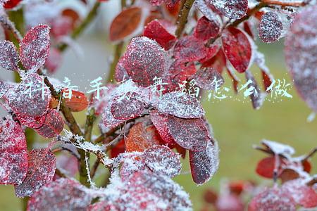 抖音手势舞蹈怎么做