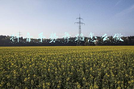 抖音手势舞蹈怎么做