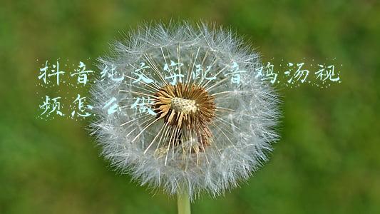 抖音鸡汤文字(抖音上很火的毒鸡汤，经典犀利，提神又醒脑 !)