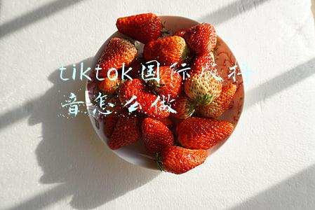 抖音国际版 tiktok怎么看(抖音国际版TikTok使用方法指导)