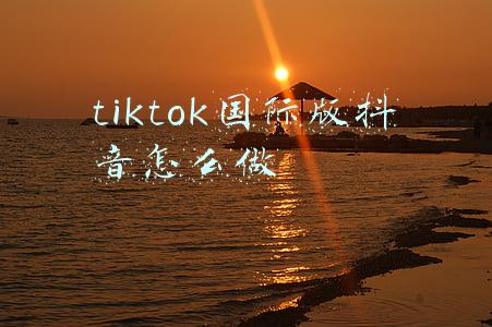 tiktok国际版抖音怎么做