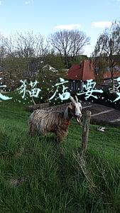 开个天猫店要多少钱保证金(天猫开店保证金是多少)