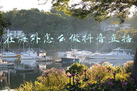 在海外怎么做抖音直播