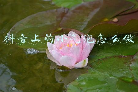 肺上有气泡是怎么回事(“肺部定时炸弹”——肺大泡，肺大泡破裂不是什么不可能的事)