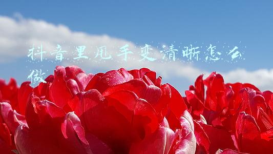 抖音里甩手变清晰怎么做