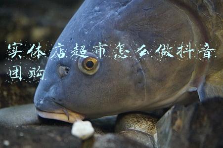 汽车用品超市实体店(辰势启航，丰赢未来！广汽丰田宁波金泽店盛大开业)