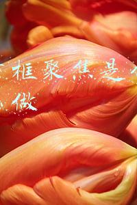 方框里面打勾的符号(2种方法，教你在Word中插入方框打钩符号，超实用！)