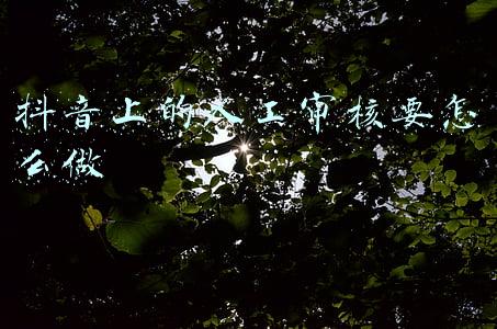 抖音如何进行人工审核的(教你如何解决抖音短视频播放量上不去的问题)