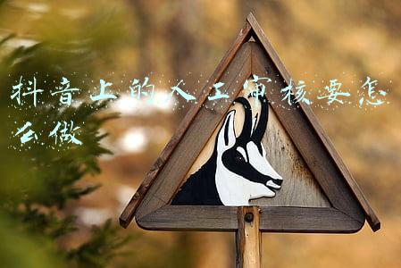 抖音付费人工审核(抖音即日起重点治理诱导未成年用户充值打赏违规行为)