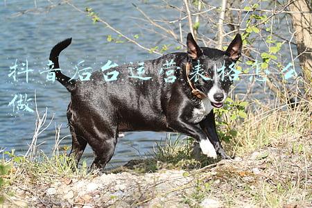 抖音后台运营表格怎么做