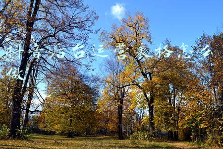 抖音运营步骤(8种抖音视频运营技巧，教你从零开始玩转抖音)