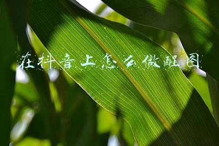 在抖音上怎么做醒图