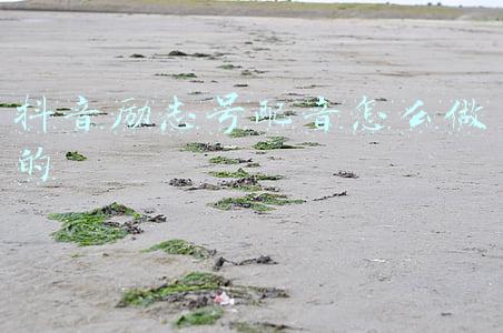 抖音励志号配音怎么做的