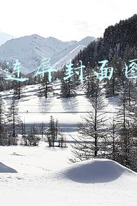 抖音3连屏封面图怎么做