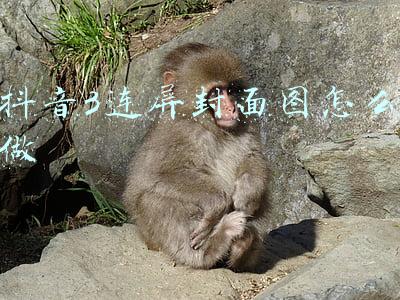 抖音3连屏封面尺寸(一次成功教你学会用PS制作抖音三屏封面 记得点赞和关注我哦)