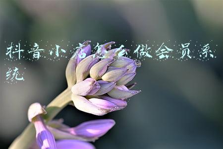 抖音小店怎么做会员系统