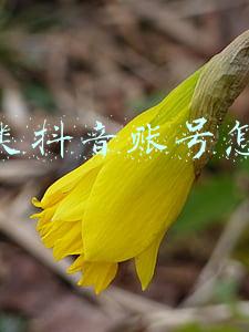 如何做一个抖音美食号(抖音美食号怎么做，才能火起来？)
