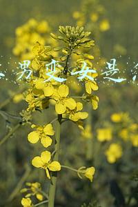 抖音上男变女是怎么做的