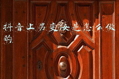 抖音上男变女是怎么做的
