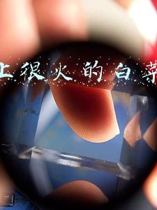 抖音上很火的白菜怎么做