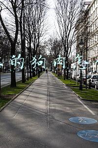 狗肉是怎么做出来的(狗肉5种最好吃的做法，简单美味又馋人，看看你喜欢吃哪种？)