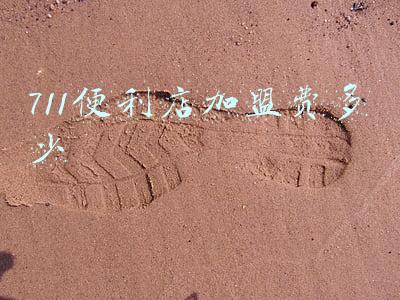 加盟711便利店挣钱吗《加盟711便利店赚钱吗》