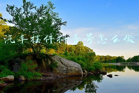 汽车摆件放什么好(车内装饰品摆件什么好)