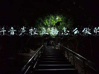 抖音上那些声控做的视频怎么做的(40亿播放的“夹子音”，为什么令人上头？)