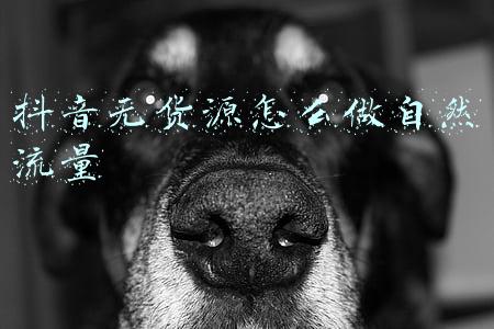 抖音无货源模式怎么玩(抖音小店无货源到底怎么做？小店玩法详细步骤讲解)