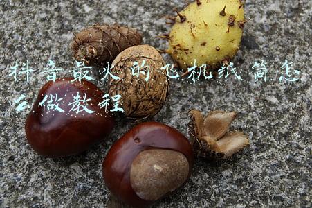 抖音最火的飞机纸筒怎么做教程