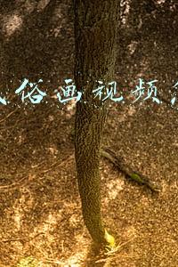 民俗画(王春晖六十幅关东民俗水彩画（一）)