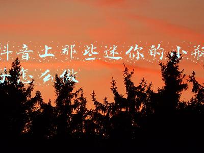 最近很火的小瓶子怎么做(饮料瓶做的“空间站”火了！看看长啥样)