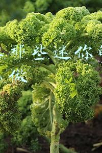 瓶子上的粘胶怎么去除(生活小常识：杯子上的胶怎么去除 去除杯子上的胶方法介绍)