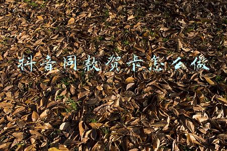 抖音同款ppt怎么做(PPT也可以做出抖音特效，get新技能)