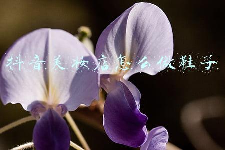 抖音美妆店怎么做鞋子