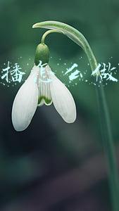 抖音直播自然流量(抖音直播的流量密码，就藏在这4张图里)
