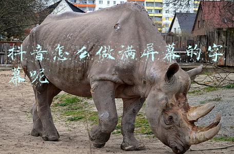 电脑屏幕滚动字幕软件(剪映入门教程（020）向上滚动字幕的制作)
