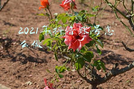2021年抖音账号怎么做